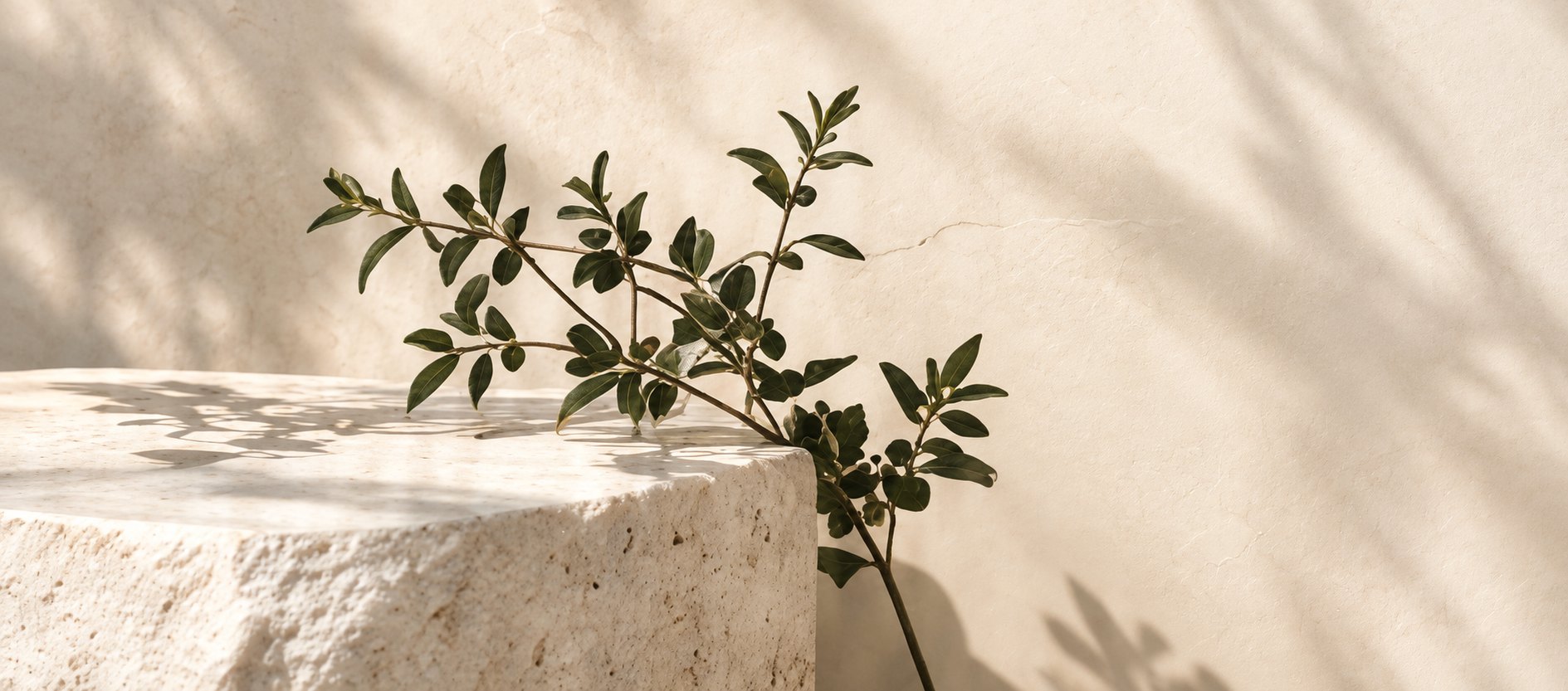 Botanical composition in a warm neutral interior