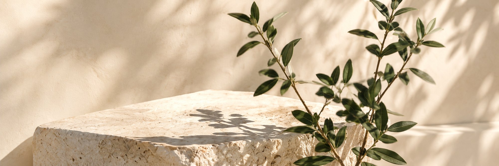 Calm botanical scene